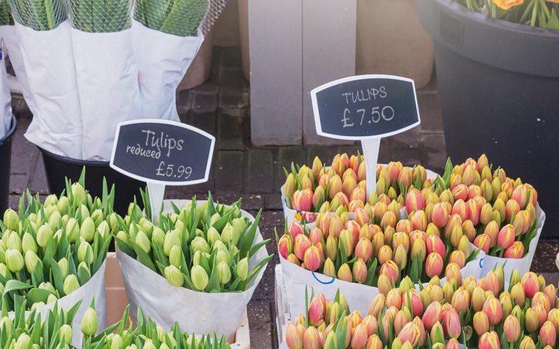 Ground stake sign holders and plant labels with write-on heads