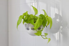 Using hanging wires to display plants